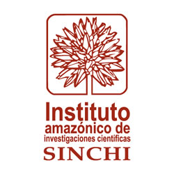 sinchi